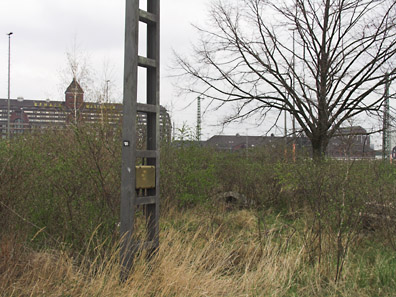 Blick Richtung Nordosten, Westhafengebäude im Hintergrund