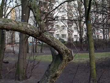 Park an der Schönwalder Straße