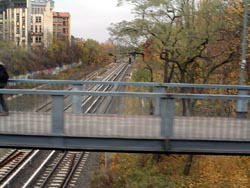 Leberbrücke aus dem fahrenden Bus