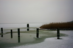 Bodden im Winter