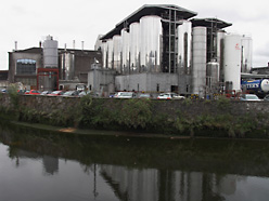 Brauerei in Cork