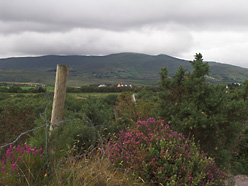 Tal bei Waterville