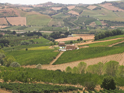 Ortezzano, casa degli gnomi