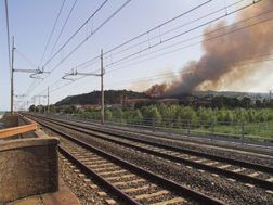 Waldbrand bei Pedaso